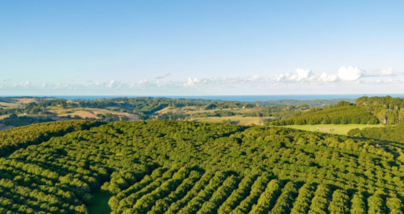 Anh chup Man hinh 2025 04 02 luc 17.16.58