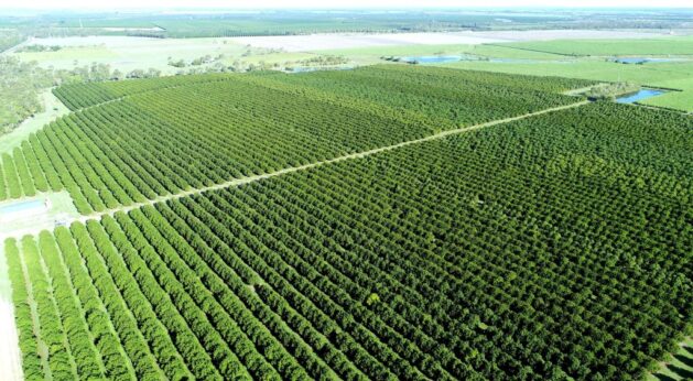 8ddb15cd7365903bc974-1-1024x576