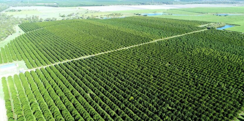 8ddb15cd7365903bc974 1 1024x576 1