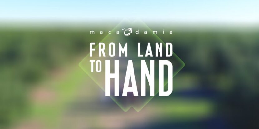 From Land To Hand 1 1024x567 1