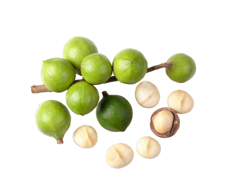 envato labs image edit11