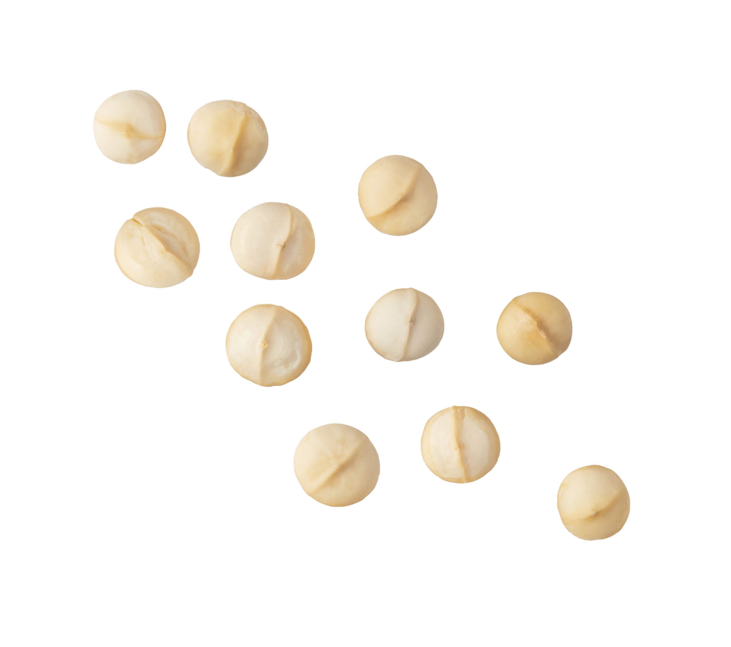 envato labs image edit12 scaled